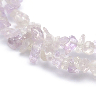 Natural Amethyst Beads Strands G-P332-64-1