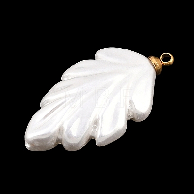 304 Stainless Steel Resin Pendants STAS-K322-11A-G-1