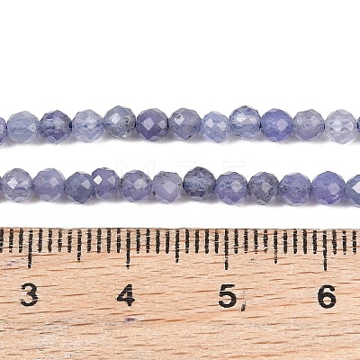 Natural Tanzanite Beads Strands G-S361-3mm-008-1