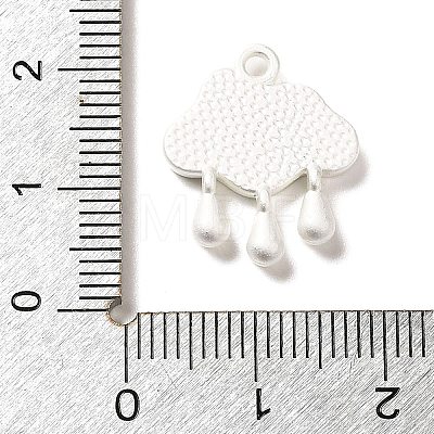 Baking Paint Zinc Alloy with Resin Pendant FIND-Z038-01D-1