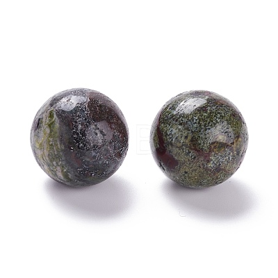 Natural Dragon Bloodstone Beads G-D456-07-1