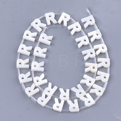 Natural Freshwater Shell Beads SHEL-T012-59R-1