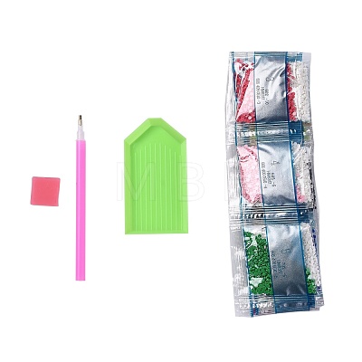 DIY Diamond Painting Canvas Kits For Kids DIY-F059-15-1
