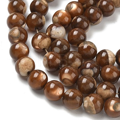 Natural Trochus Shell Beads Strands SH-CBAFEDD-02B-1