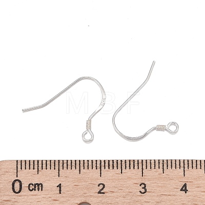 925 Sterling Silver Earring Hooks STER-K167-049C-S-1