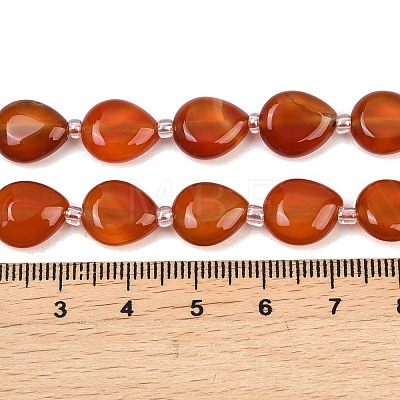 Natural Carnelian Beads Strands G-K393-E02-10x12-1
