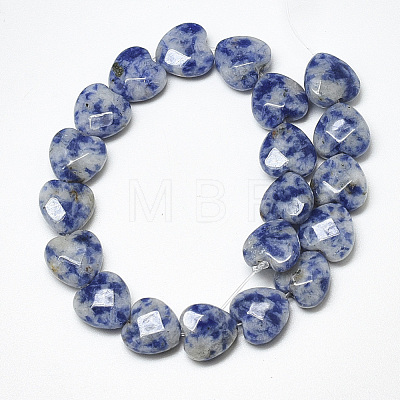 Natural Blue Spot Jasper Beads Strands G-S357-E01-06-1