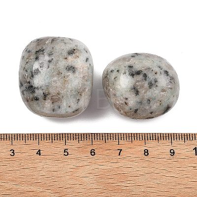 Natural Sesame Jasper Beads G-G348-01B-03-1