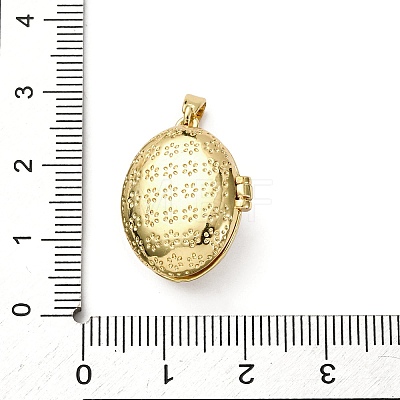 Brass Micro Pave Cubic Zirconia Locket Pendants KK-F912-02G-1