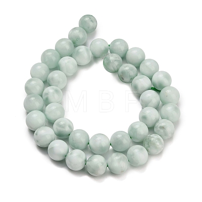 Glass Beads Strands G-L642-B18-10mm-1