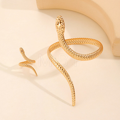 Snake Alloy Cuff Bangles & Cuff Rings Sets FS-WG6CA5E-01-1