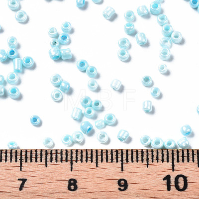 Glass Seed Beads SEED-S060-A-967-1