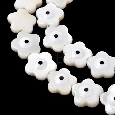 Natural Freshwater Shell Beads Strands SHEL-A006-03E-1