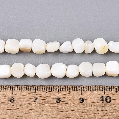 Natural Freshwater Shell Beads Strands BSHE-T014-51B-1