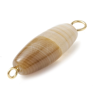 Natural Striped Agate/Banded Agate Connector Charms PALLOY-JF02454-1