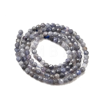 Natural Tanzanite Beads Strands G-S387-A01-3mm-1