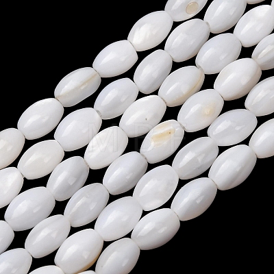 Natural Freshwater Shell Beads Strands SH-CBA2978-06A-1