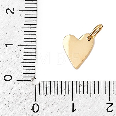 304 Stainless Steel Charms STAS-L291-01G-E-1