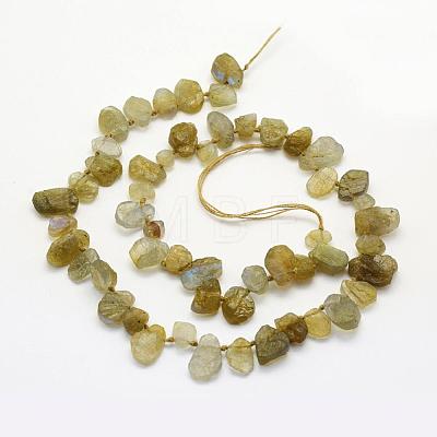 Natural Labradorite Beads Strands G-K202-11B-1