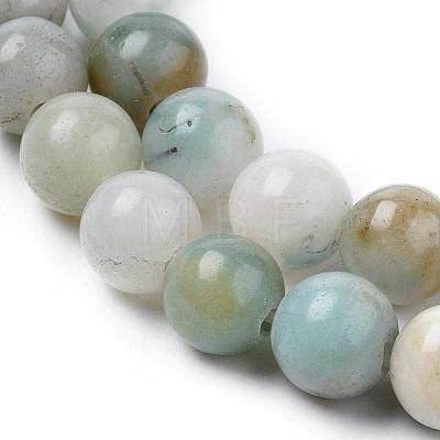 Natural Flower Amazonite Beads Strands G-L476-12-1