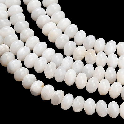 Natural Freshwater Shell Beads Strands SHEL-C010-04A-02-1