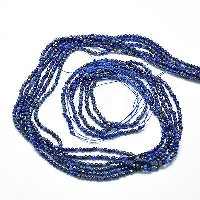 Natural Lapis Lazuli Beads Strands G-J002-13-1