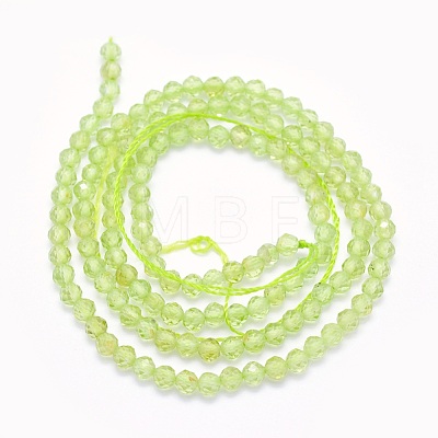 Natural Prehnite Beads Strands G-O166-19-2mm-1