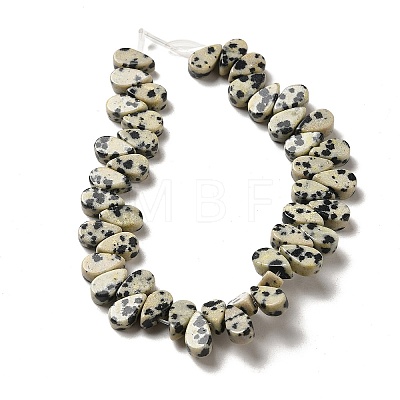 Natural Dalmatian Jasper Beads Strands G-B064-B11-1