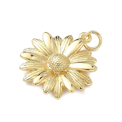 Brass Charms KK-F930-13G-1