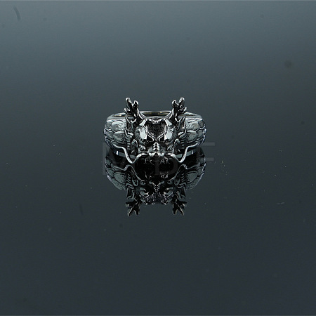 Retro 304 Stainless Steel Dragon Finger Rings WG26D82-01-1