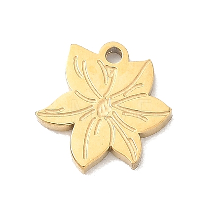 304 Stainless Steel Charms SA-CBA2714-01A-G-1