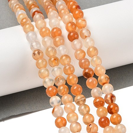Natural Red Agate Beads Strands G-A248-A06-01-1