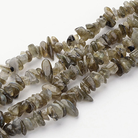 Natural Labradorite Chips Beads Strands LS-F069-1