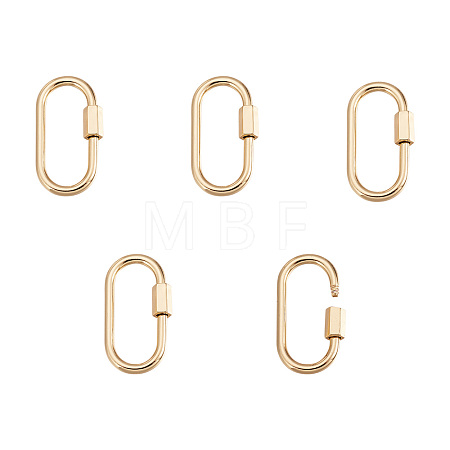 Brass Screw Carabiner Lock Charms ZIRC-E164-12G-1