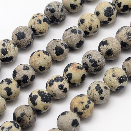 Natural Dalmatian Jasper Beads Strands G-D685-6mm-1