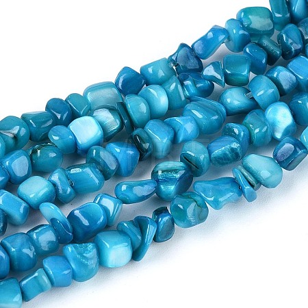 Natural Freshwater Shell Beads Strands SHEL-N037-04I-1