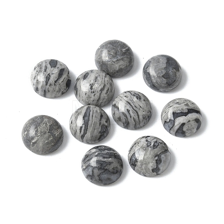 Natural Map Stone Cabochons G-Z075-06A-1