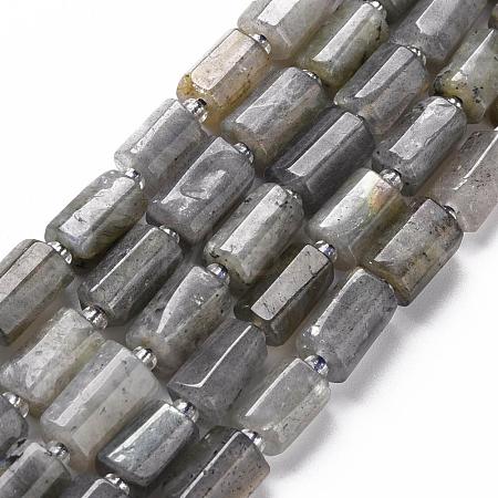 Natural Labradorite Beads Strands G-S345-8x11-001-1