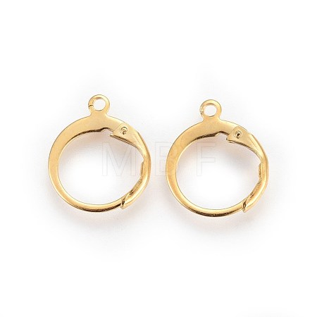 304 Stainless Steel Leverback Earring Findings STAS-I100-19G-1