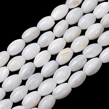 Natural Freshwater Shell Beads Strands SH-CBA2978-06A-1
