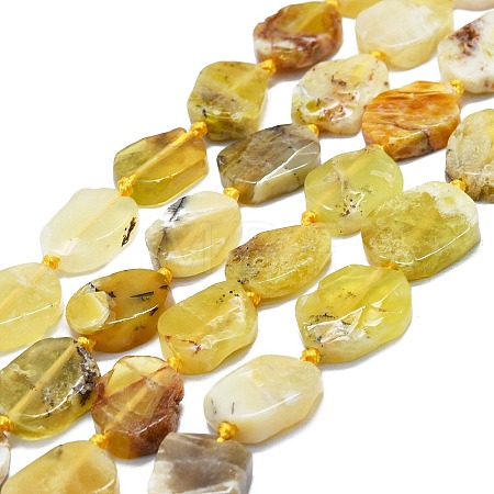 Natural Yellow Opal Beads Strands G-K245-L01-01-1