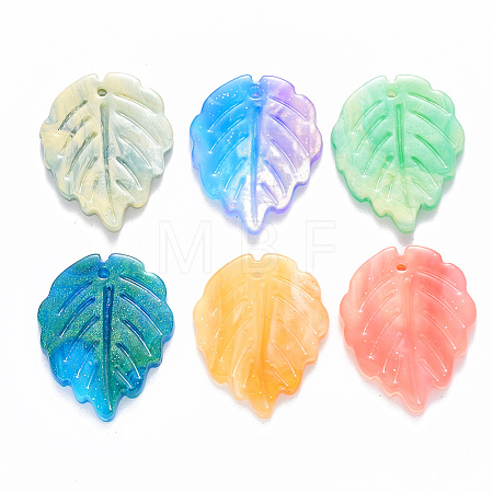Cellulose Acetate(Resin) Pendants KY-R017-11-1