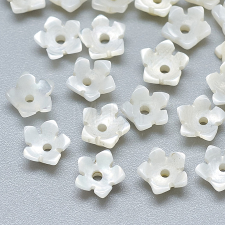 Natural White Shell Beads SSHEL-S260-014-1