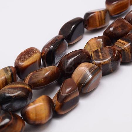 Natural Tiger Eye Bead Strands G-K153-D18-1