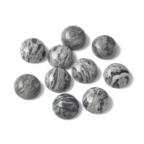 Natural Map Stone Cabochons G-Z075-06A-1