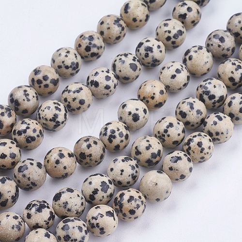 Natural Dalmatian Jasper Stone Bead Strands G-R193-14-10mm-1