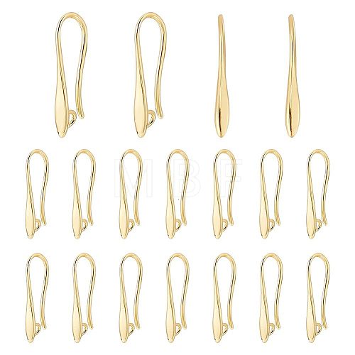BENECREAT 10 Pair Brass Earring Hooks KK-BC0010-62-1