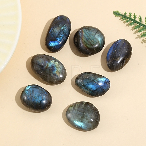 Natural Labradorite Figurines for Home Desktop Decoration PW-WG12971-02-1