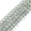 Glass Bead Strands GLAA-K068-01C-05-1