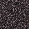 MIYUKI Delica Beads LS-X-SEED-J020-DB2405-2